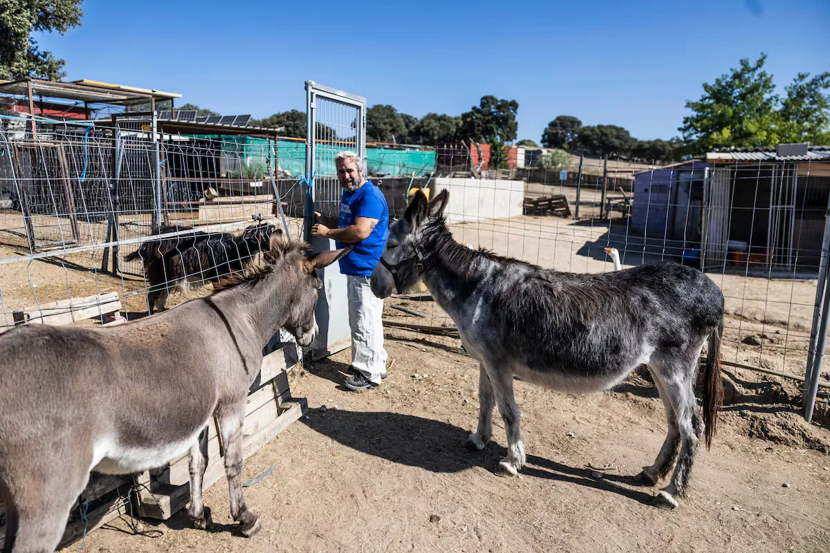 Santuario madrileño abre sus puertas a animales heridos por los incendios