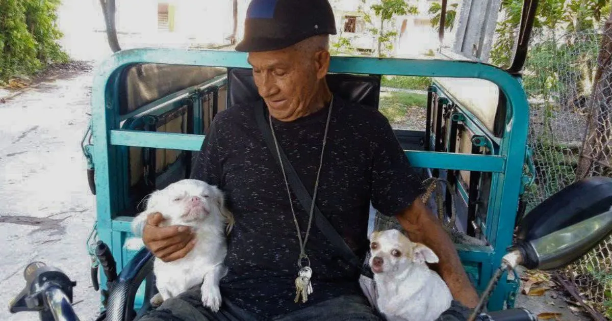 Excampeón de lucha dedica su vida a rescatar animales abandonados en Cuba