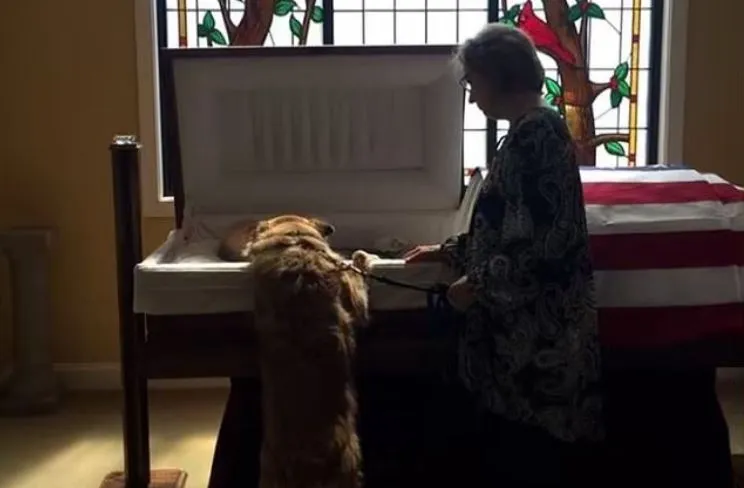 ¿Qué pasa con una mascota cuando su dueño muere?