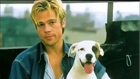 Brad Pitt: “Pasar un día con un perro hace que la vida sea mejor”